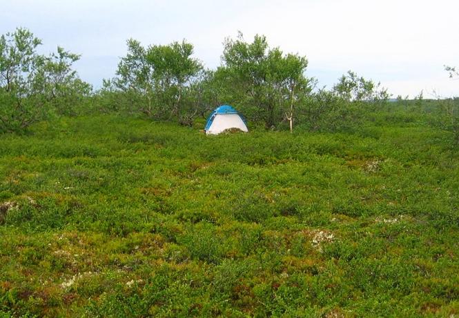 Camp at the Confluence