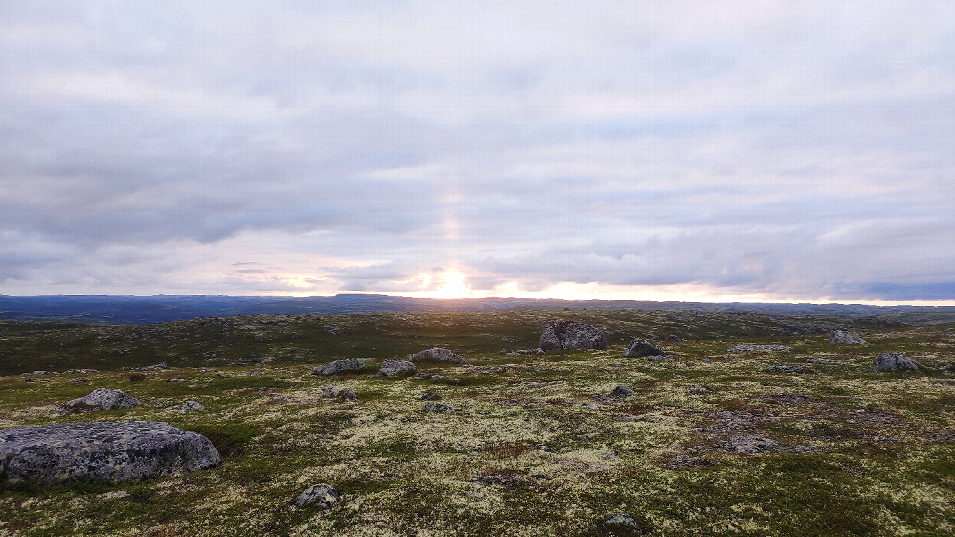 Evening sun (10 pm) on the way back to the car