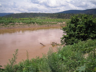 #1: General view - the Confluence is close to the submerged stick