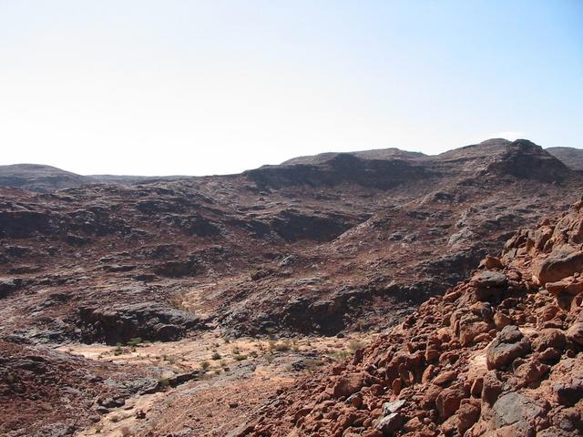 Looking south from the confluence point.