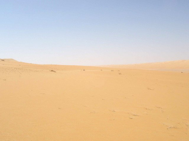 View West from the Confluence