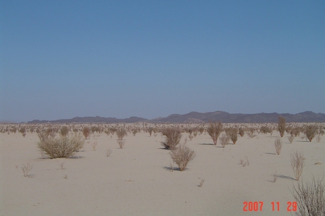 West view - Umm Hesha and Milha mountains.