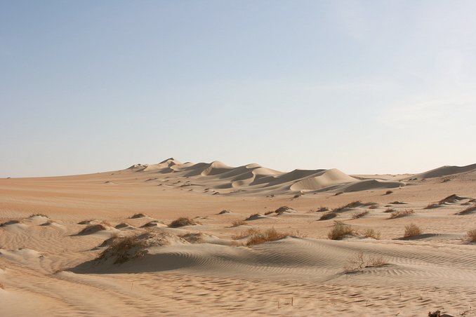 Dune line seen from the Confluence - View northeast