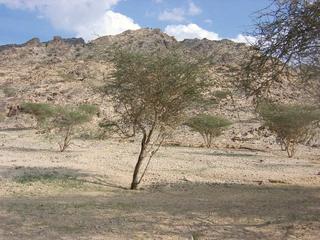 #1: The east view towards the Confluence