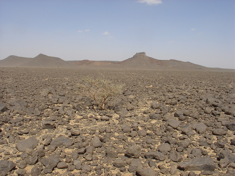 General View of Confluence, from 100 m away looking north