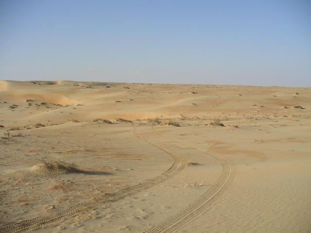 View of the confluence looking North