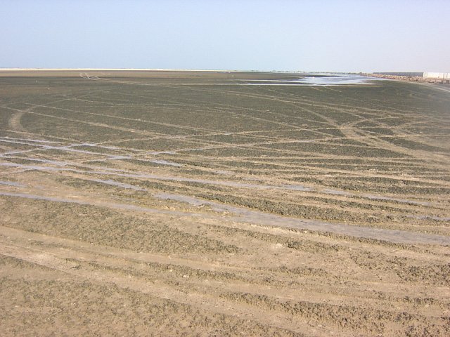 Sabkha near the track