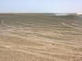 #7: Sabkha near the track