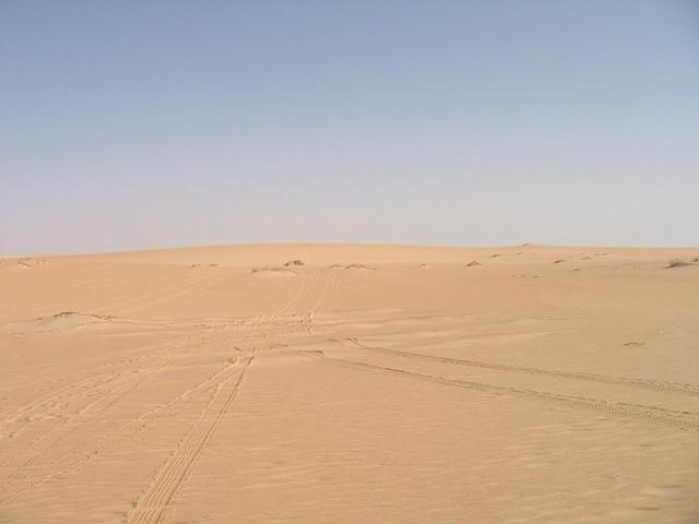 Looking north from the confluence point.