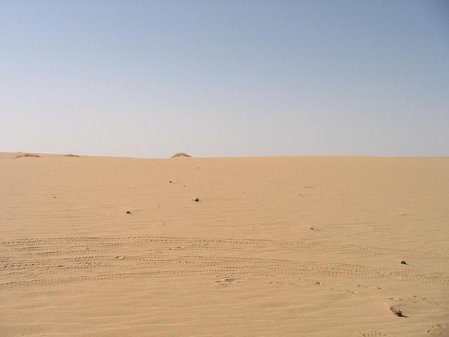 Looking south from the confluence point.