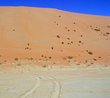 #2: View looking north across a small portion of  the sabkha to a dune slip face approximately 100 feet (30 m) away. This portion of the dune has elevations greater than 500 feet (152 m) above sea level, while the elevation at the Confluence is 238 ft (73 m).