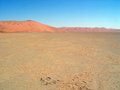 #3: View looking east. The dune in the foreground reaches an elevation of 660 feet (201 m), whereas the elevation at the Confluence is 238 ft (73 m) above sea level. The dunes in the background lie 3 km distant and have elevations exceeding 690 feet (210 m).