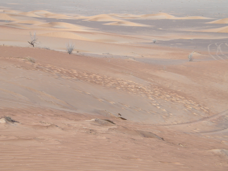 Close-up view of the Confluence; notice all the footprints.