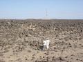 #3: The east view from higher with jabals in background