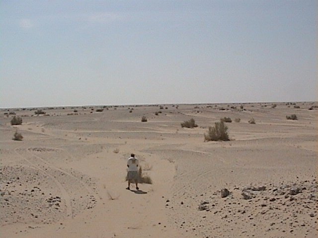 The view to the South of confluence point 23N 49E