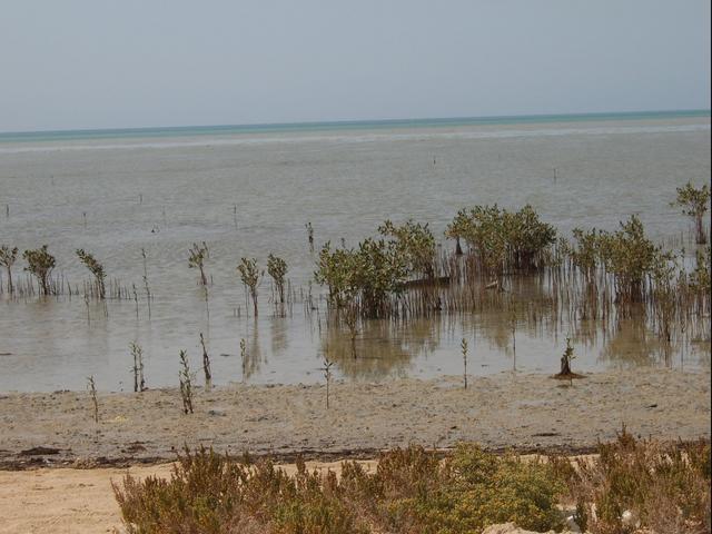 The west view to the Red Sea