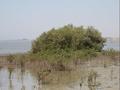 #2: The north view towards Yanbu`