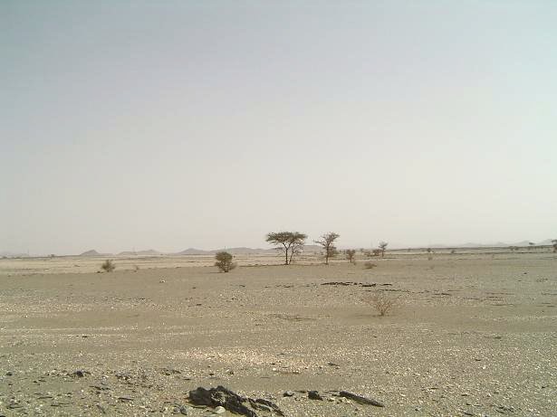 South view of Burqān Bkhītāt mountains