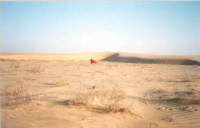 North view with sand dune in background