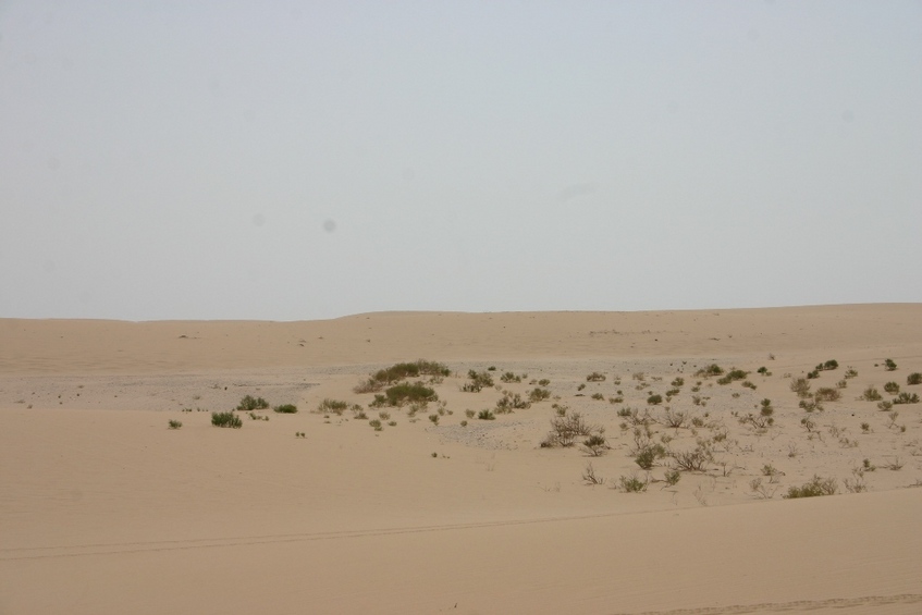 General view of the Confluence looking west