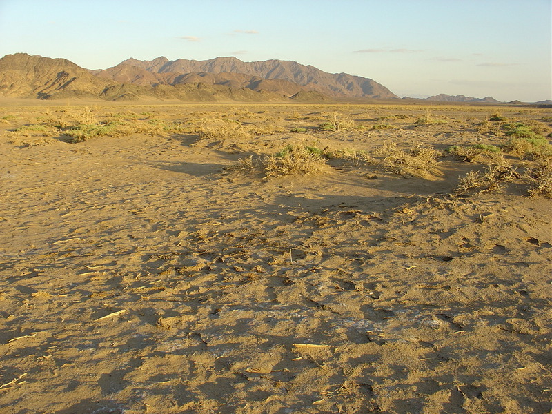 General view of Confluence