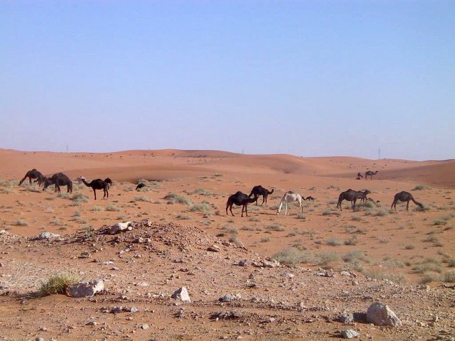 West of the Confluence