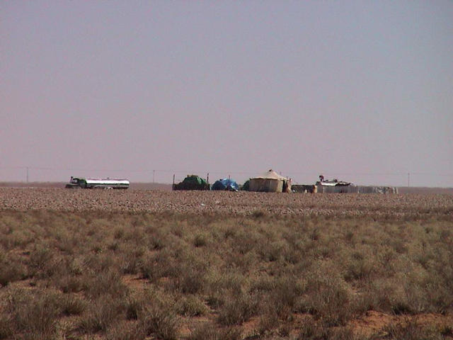 Typical Bedouin camp