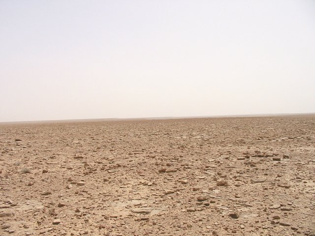 Looking east from the confluence point.