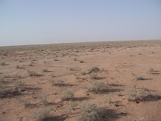 View to the North of 27N 46E confluence point.