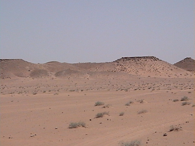 View to the East of 27N 46E confluence point.