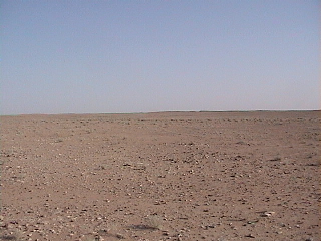 View to the South of 27N 46E confluence point.