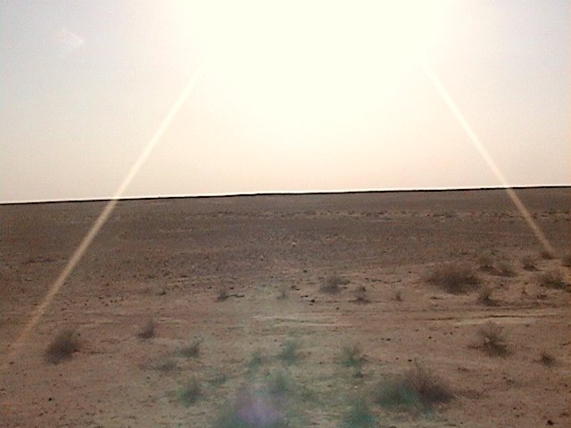 View to the West of 27N 46E confluence point.