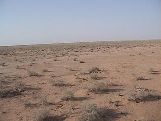 #1: View to the North of 27N 46E confluence point.