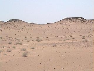 #1: View to the South of Confluence point 27N 47E