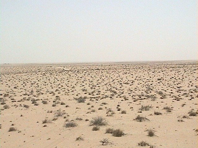 View to the East of 27N 49E confluence point.