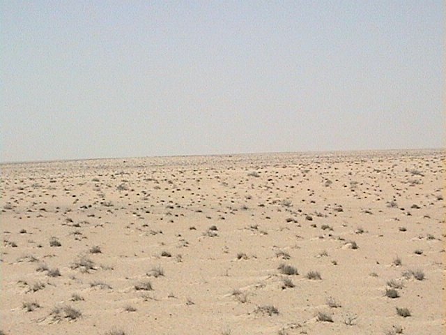 View to the West of 27N 49E confluence point.