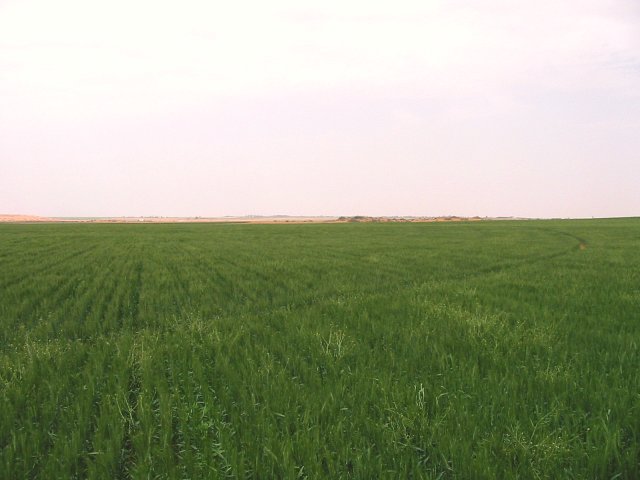 Looking west from the confluence point.