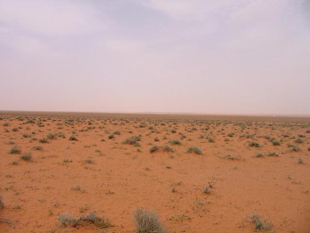 Looking north from the confluence point.