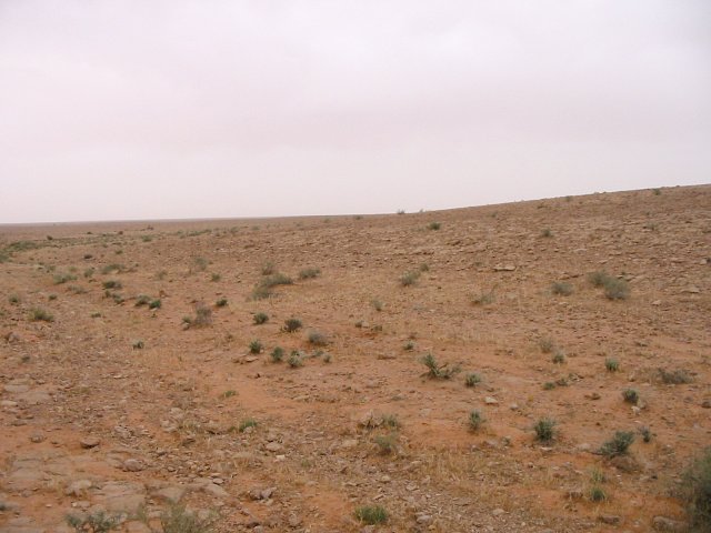 Looking east from the confluence point.