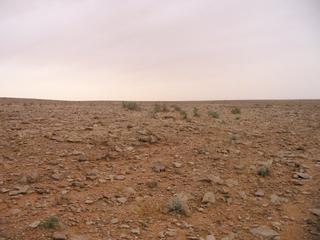 #1: Looking north from the confluence point.