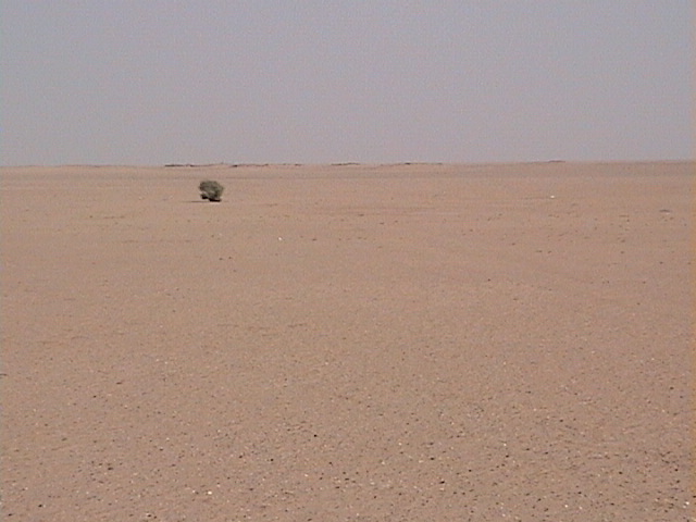 View to the North of 28N 46E confluence point.