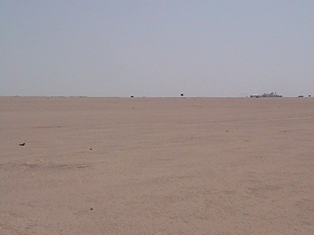 View to the East of 28N 47E confluence point.