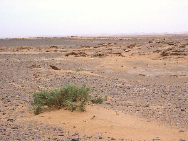 The South view across the plains