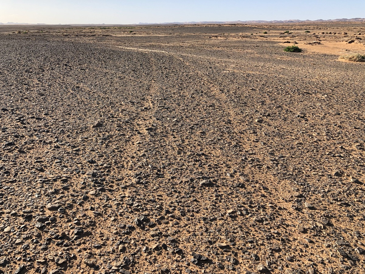 Tyre Tracks from previous visitors