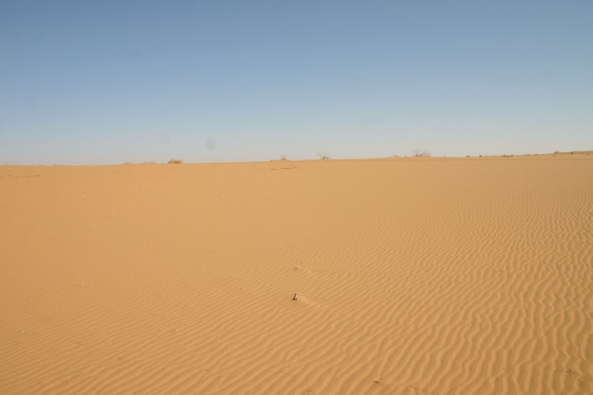 Northerly view from the Confluence