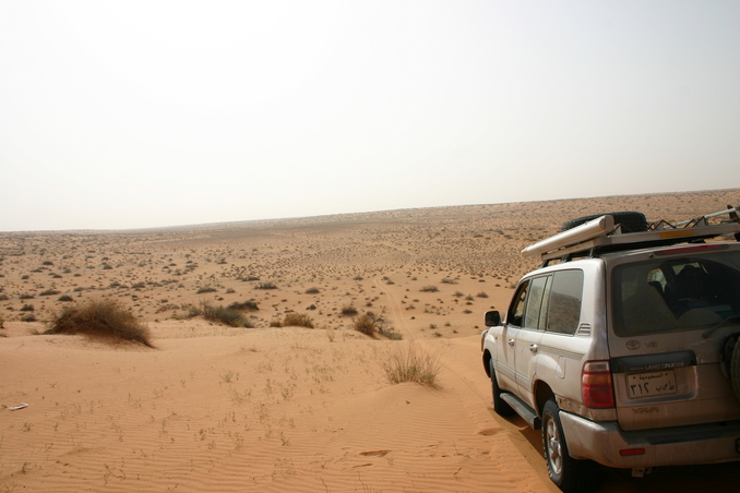 The end of the sand dunes, looking at the plains