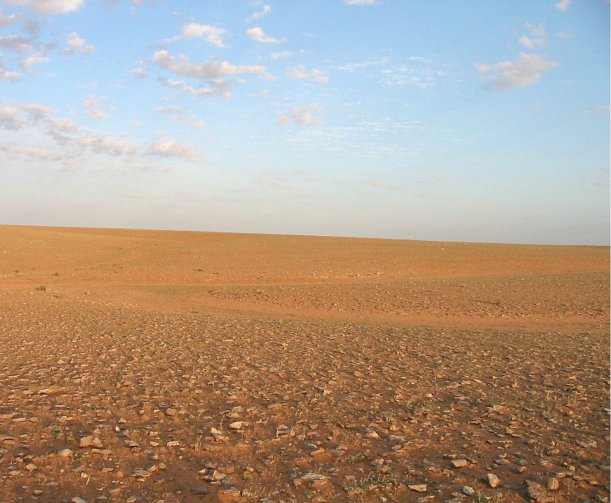 Looking east from the confluence point.