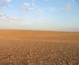 #2: Looking east from the confluence point.