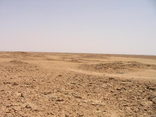 Looking south from the confluence point.