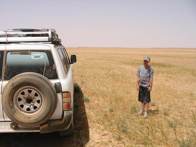 A Saudi meadow.